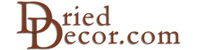 Pinecone Decor Logo